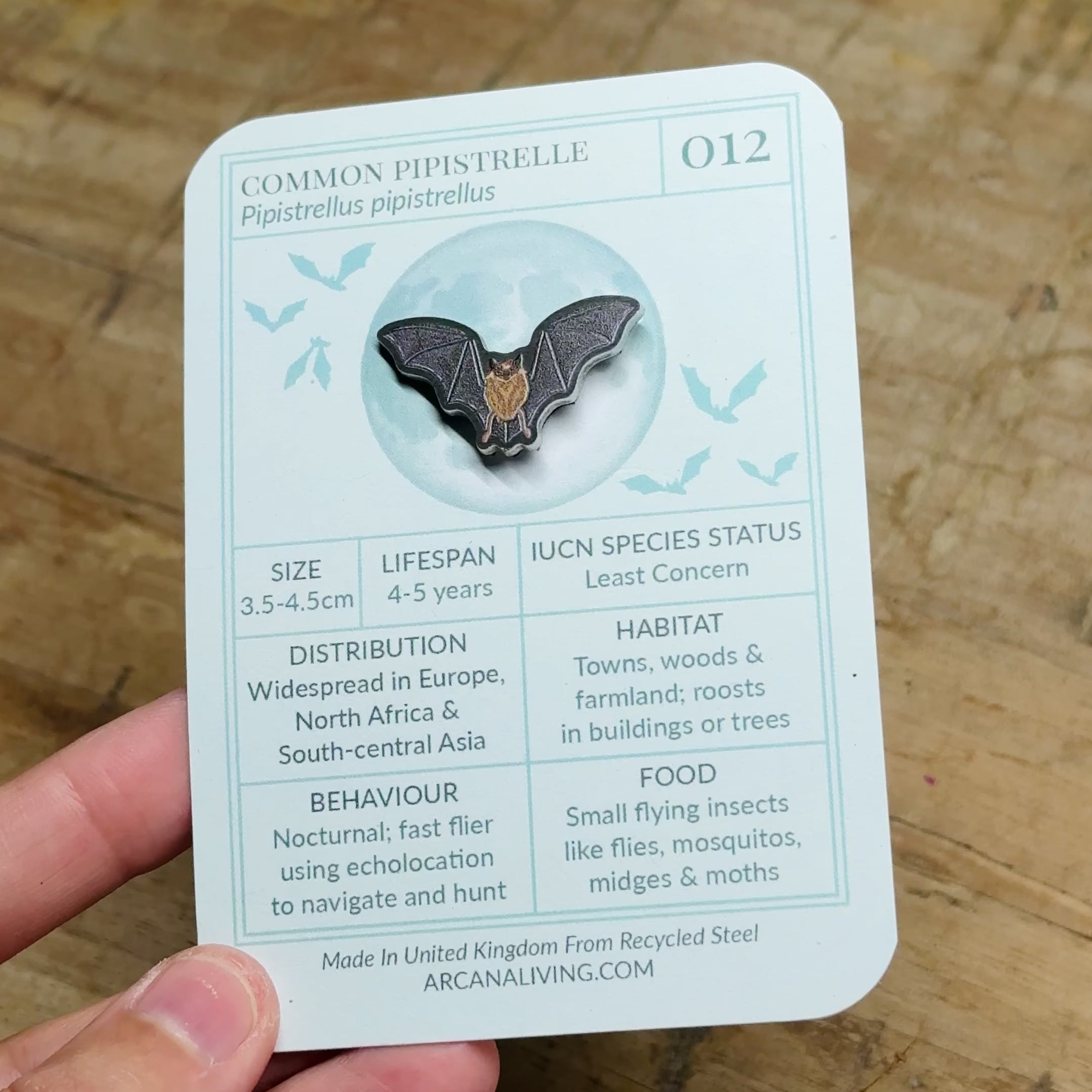 Common Pipestrelle Bat Biodiversity Badge