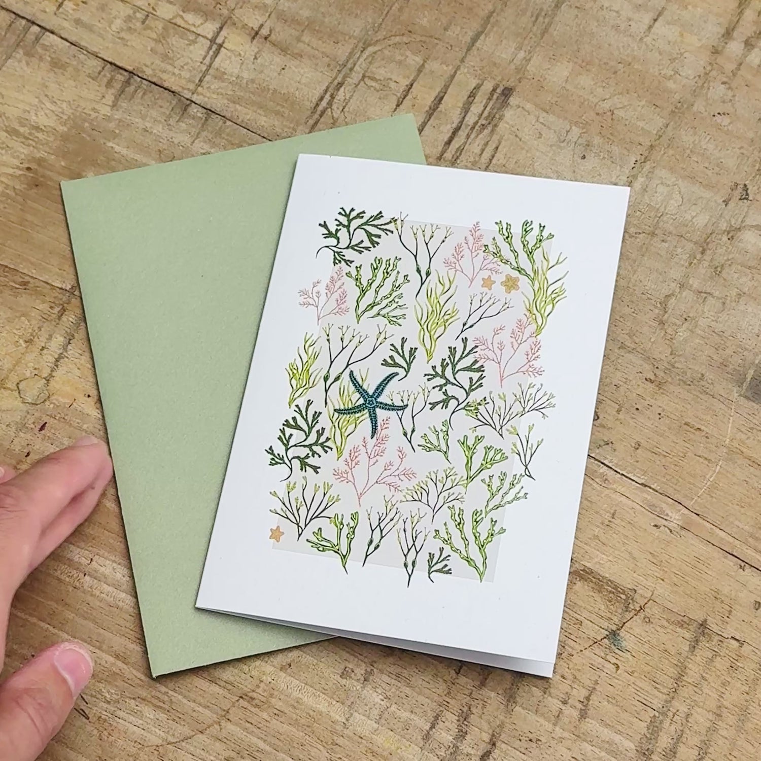 Intertidal Ocean Greetings Card Set