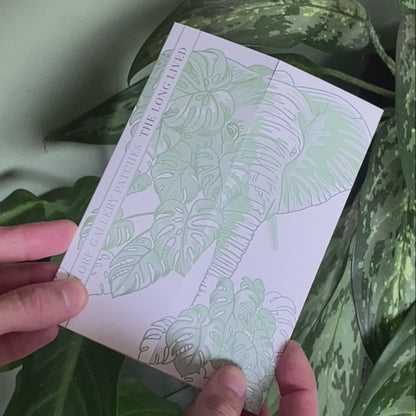 Elephant and Monstera Leaf Embroidered Patch in gatefold card with science and story behind the species