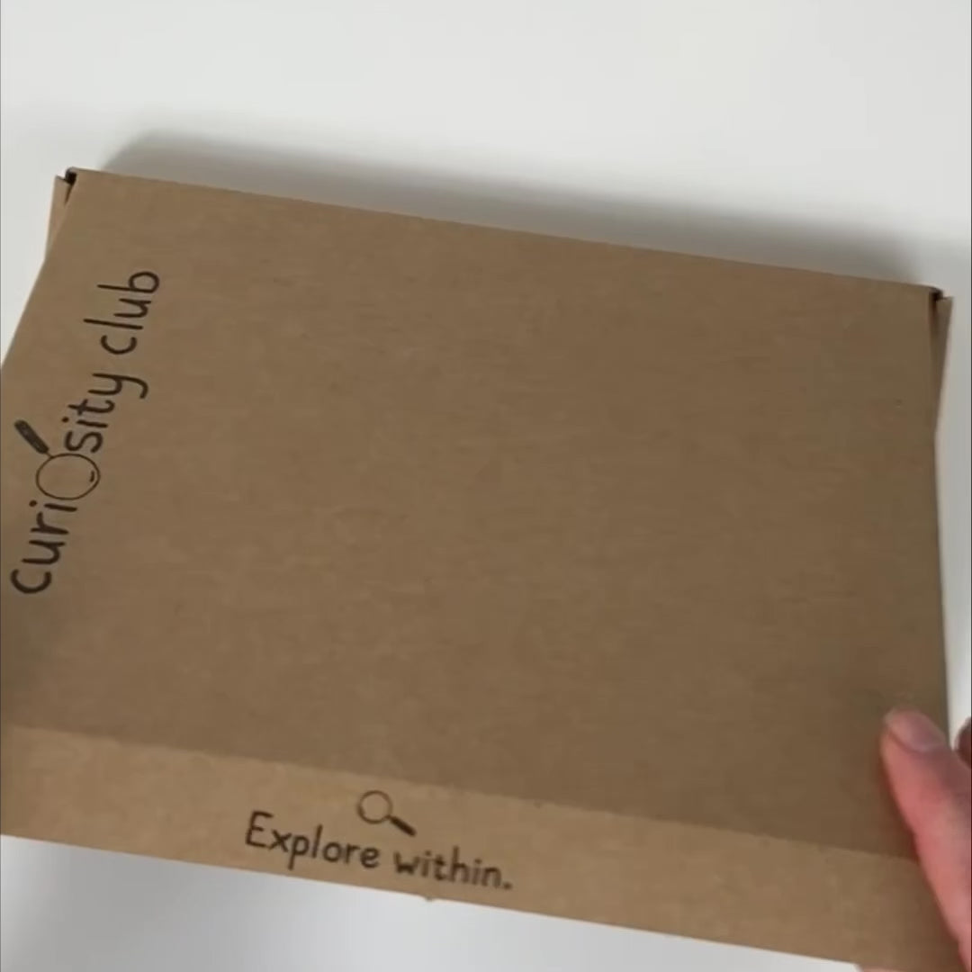 Early Autumn Box - Curiosity Club