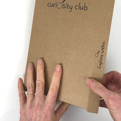 Mid Autumn Box - Curiosity Club