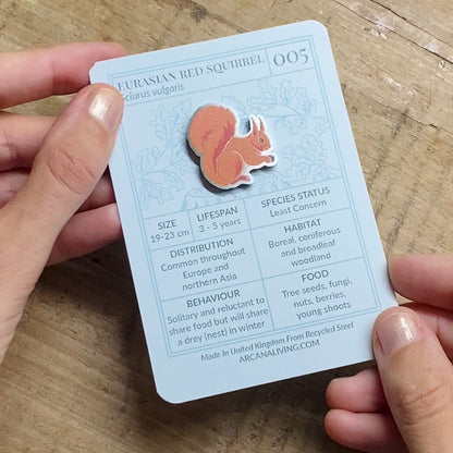 Red Squirrel Biodiversity Badge