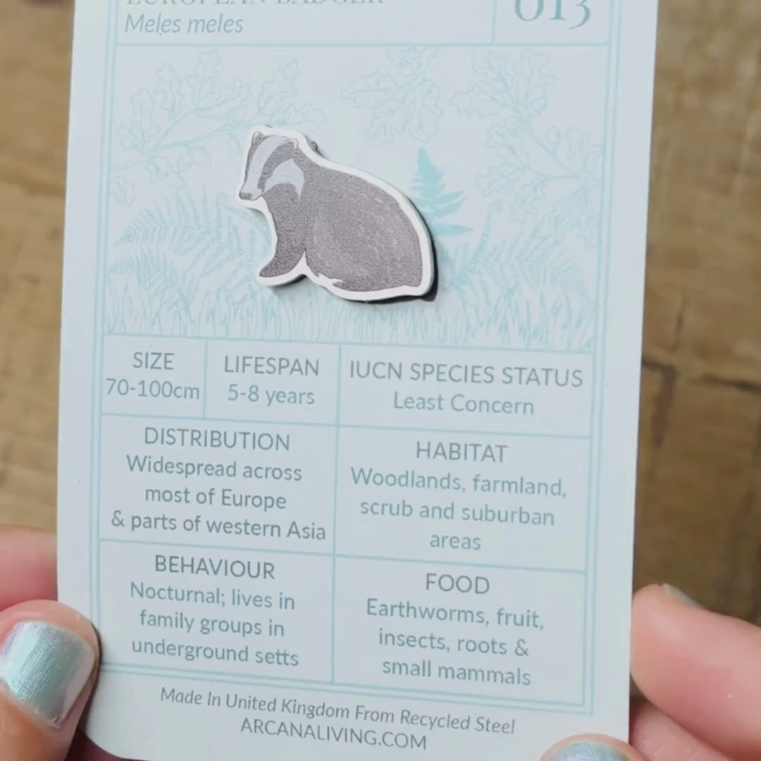 ‘Life Beneath The Leaves’ Box - Curiosity Club