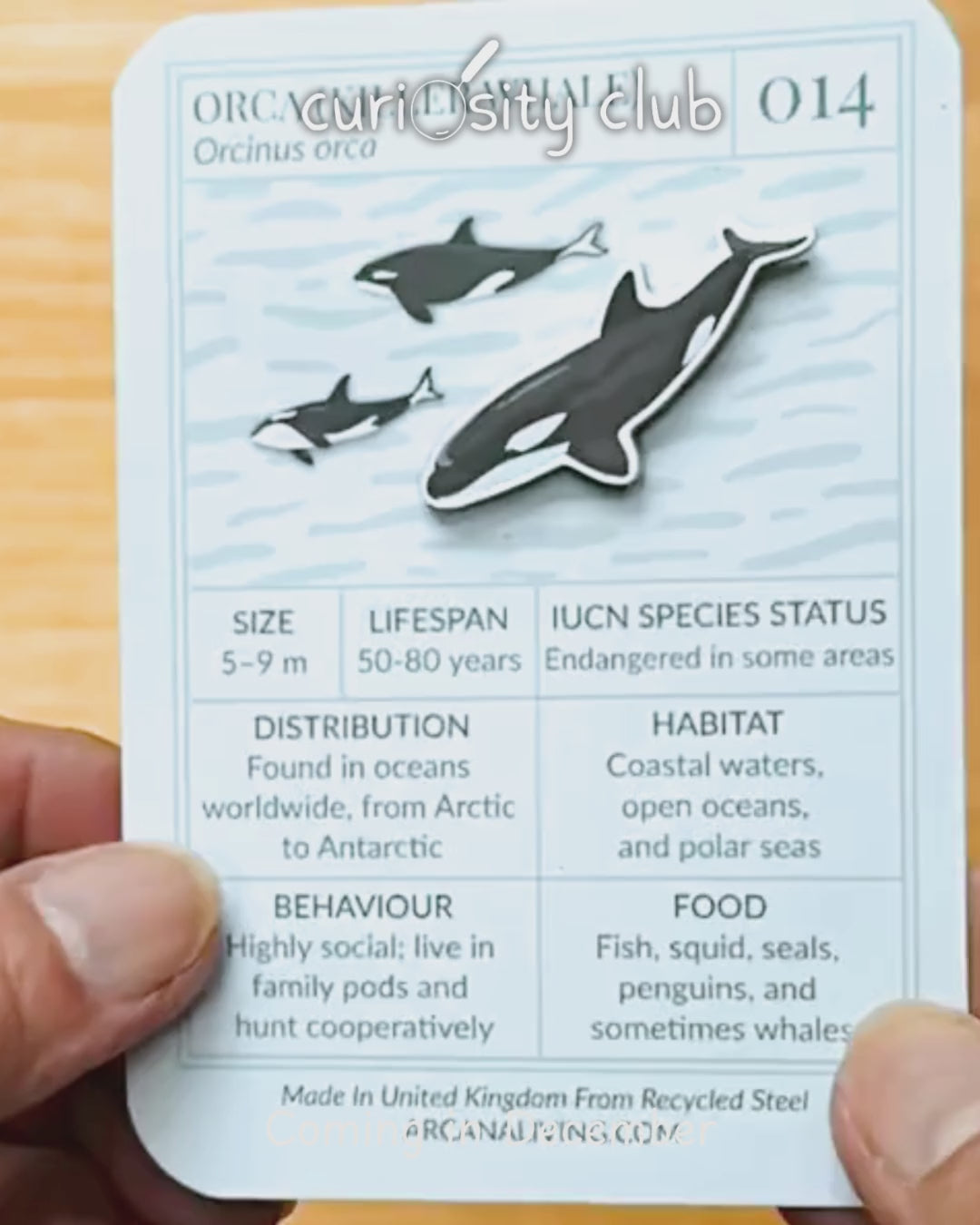 ‘Frozen Frontiers’ - Curiosity Club (Year 2)