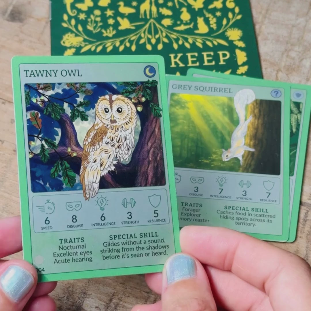 ‘Life Beneath The Leaves’ Box - Curiosity Club