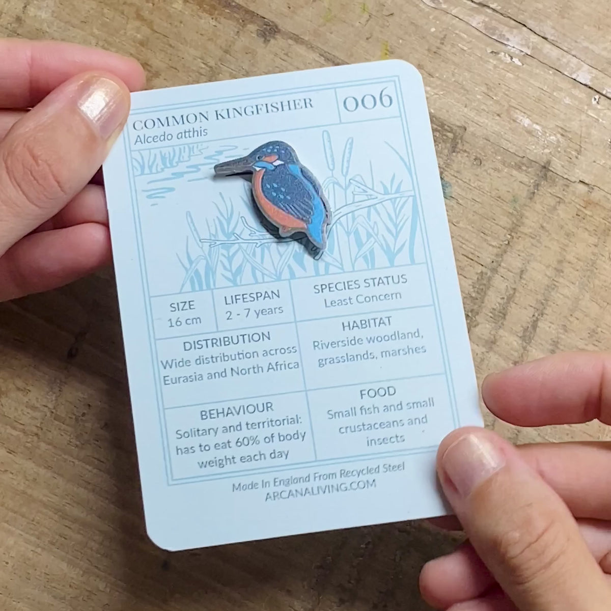 Bird Life Pin Biodiversity Badge Set