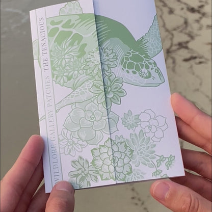 ‘Secrets of the Shore’ Box (Mid Summer) - Curiosity Club