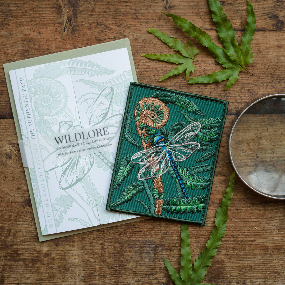 Dragonfly and Fern Embroidered Patch in gatefold card with science and story behind the species