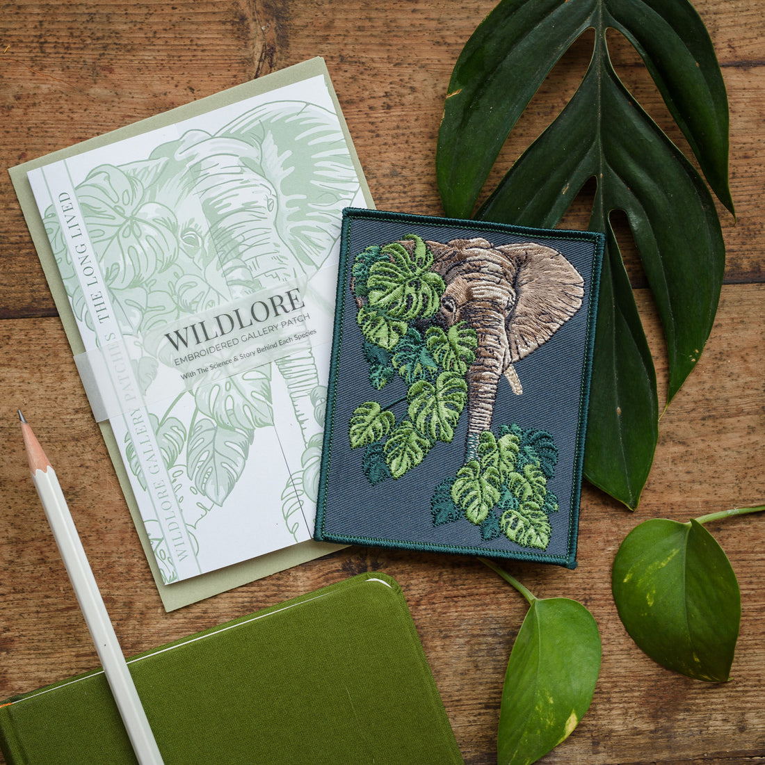 Elephant and Monstera Leaf Embroidered Patch in gatefold card with science and story behind the species