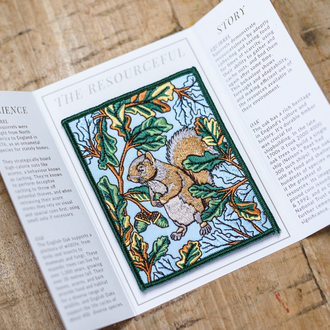 Grey Squirrel and Oak Tree Embroidered Patch in gatefold card with science and story behind the species