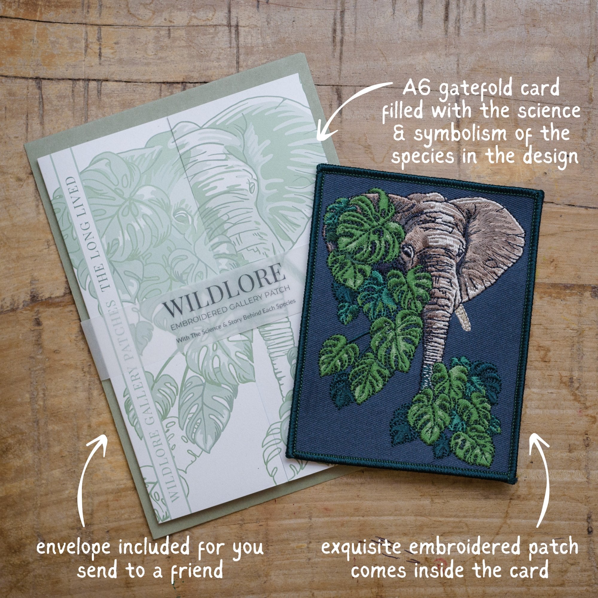 Elephant and Monstera Leaf Embroidered Patch in gatefold card with science and story behind the species