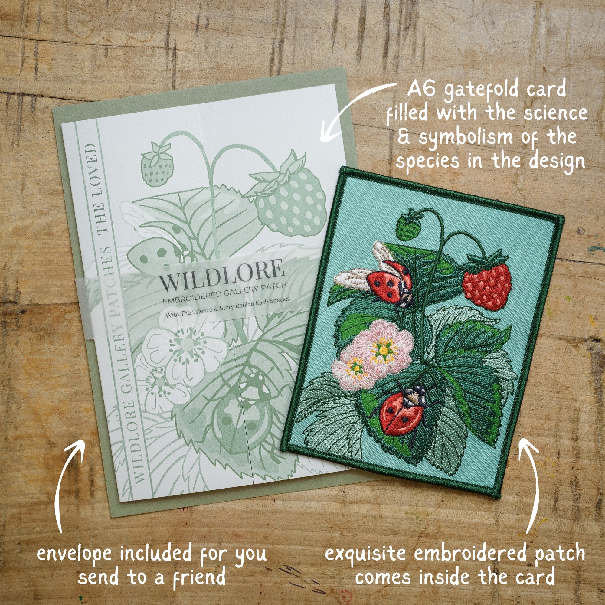 Ladybird and Strawberry Embroidered Patch in gatefold card with science and story behind the species