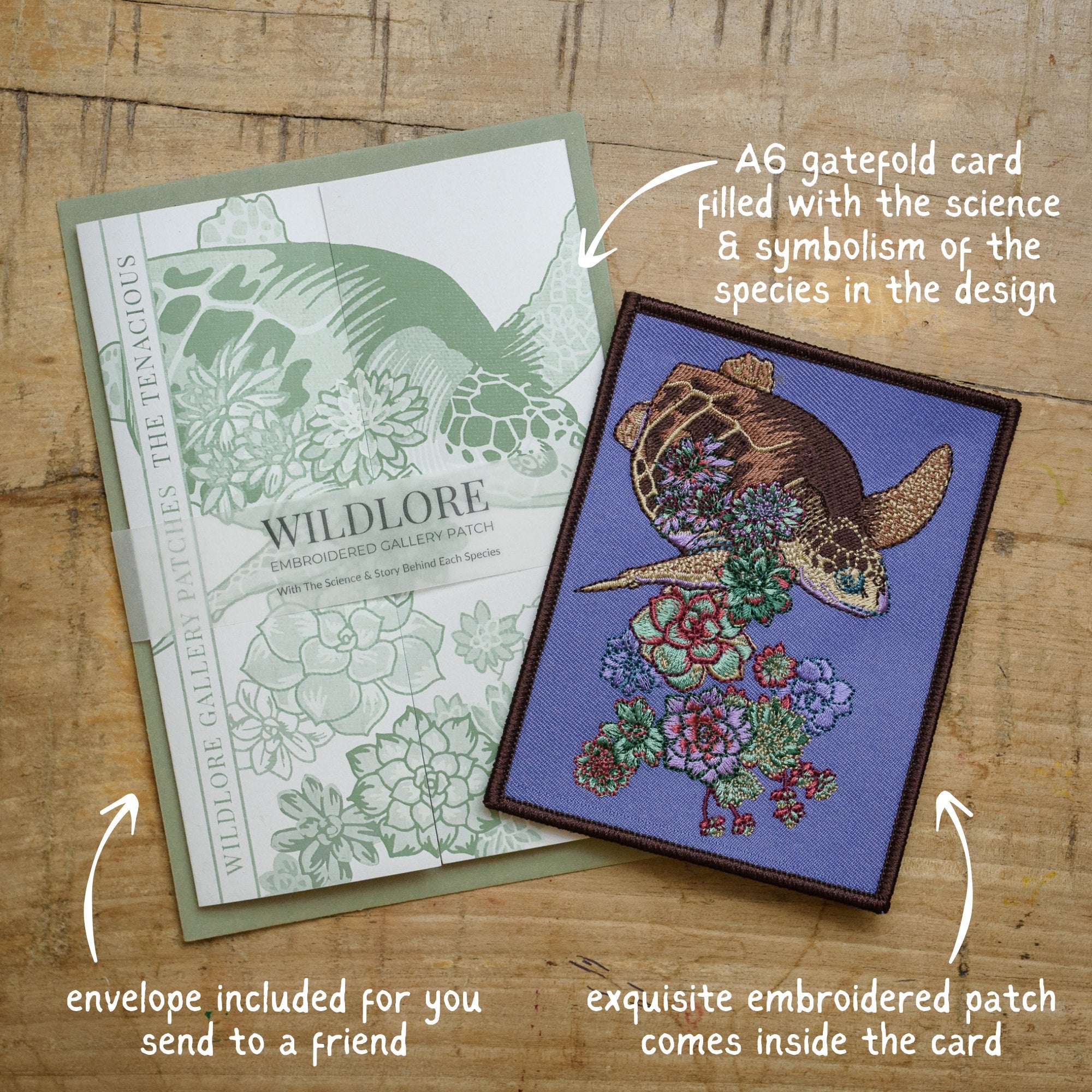 Turtle Succulent Embroidered Patch in gatefold card with science and story behind the species