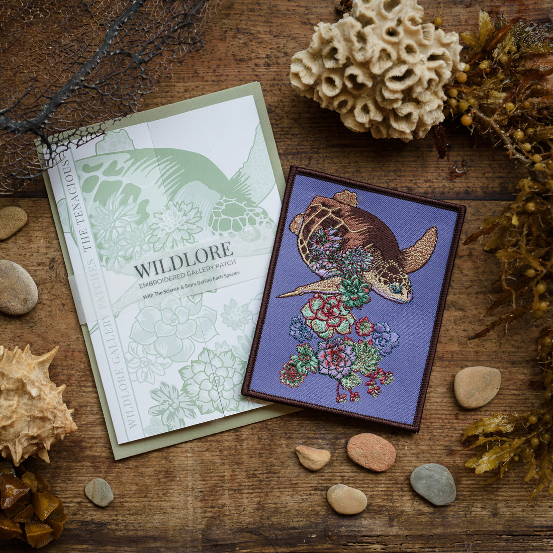 Turtle Succulent Embroidered Patch in gatefold card with science and story behind the species